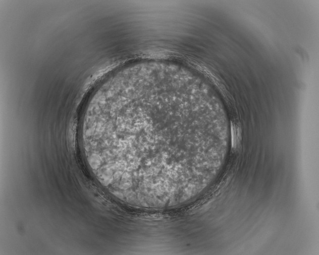 X0000112430675200909251537