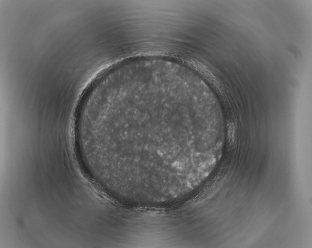 X0000112430676200909251537