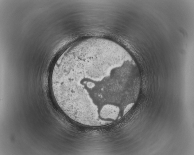 X0000112430679200909251537