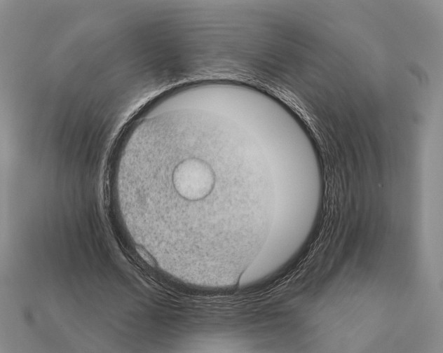 X0000112430680200909251537