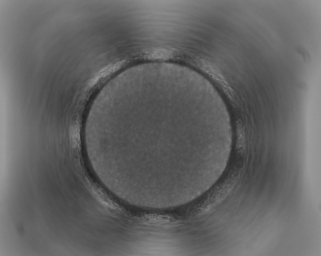 X0000112430681200909251537
