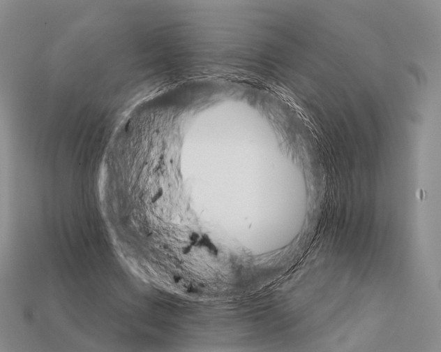 X0000112430683200909251537