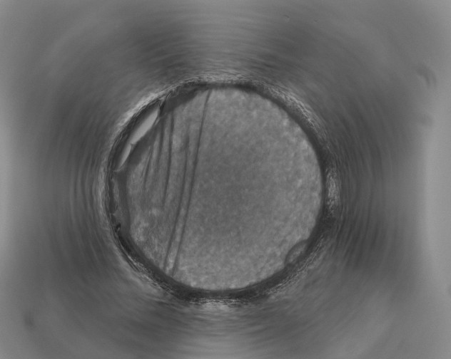 X0000112430684200909251537