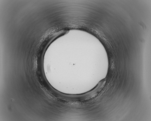 X0000112430685200909251537