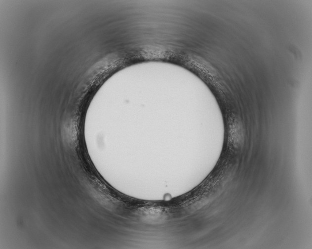 X0000112430687200909251537