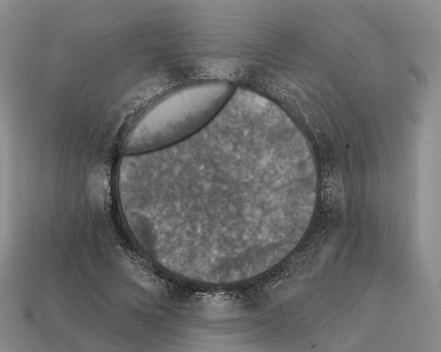 X0000112430688200909251537