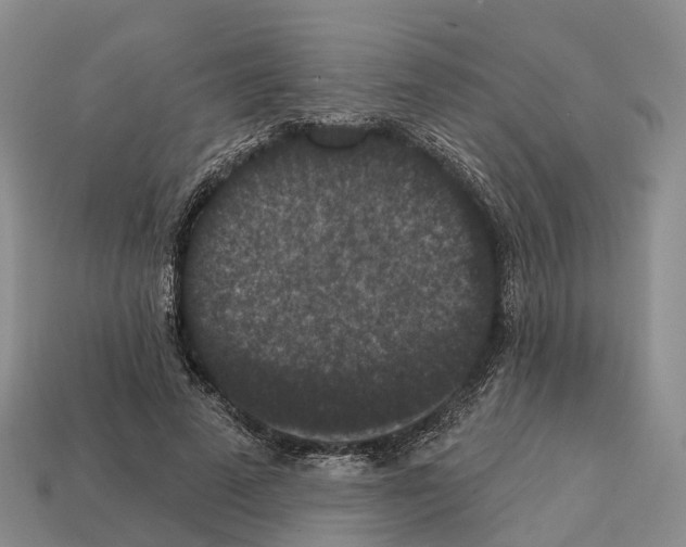 X0000112430689200909251537