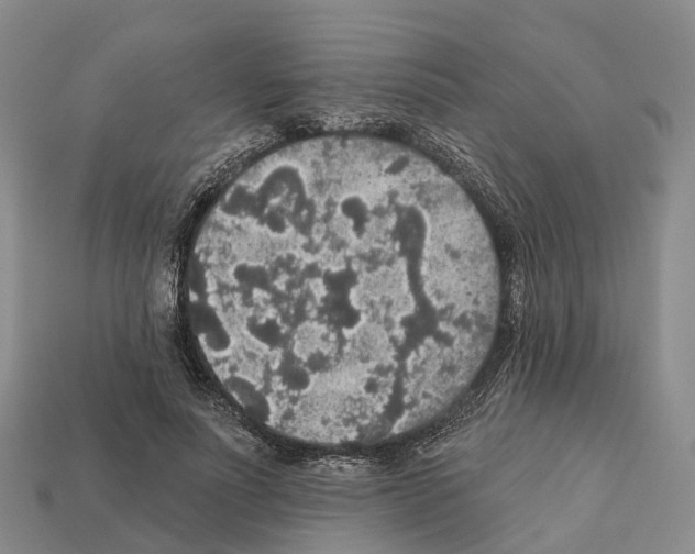 X0000112430691200909251537