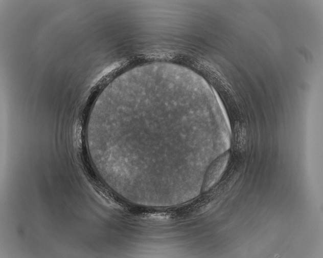 X0000112430692200909251537