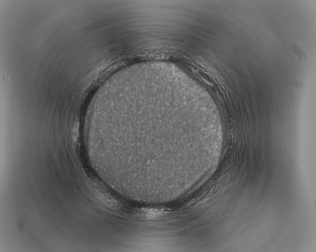 X0000112430693200909251537