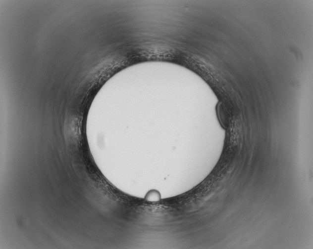 X0000112430695200909251537