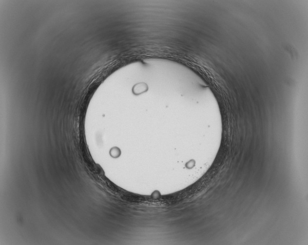X0000112430696200909251537