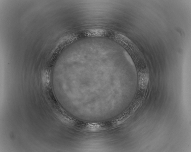 X0000112430701200909251537