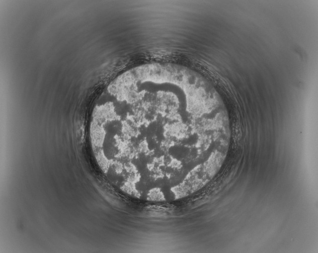 X0000112430703200909251537