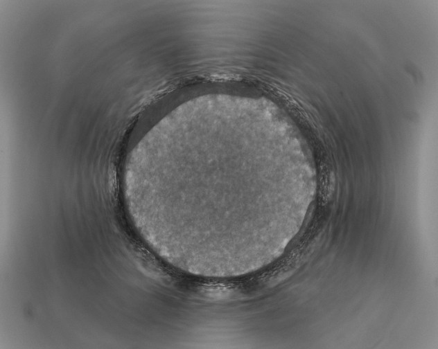 X0000112430704200909251537
