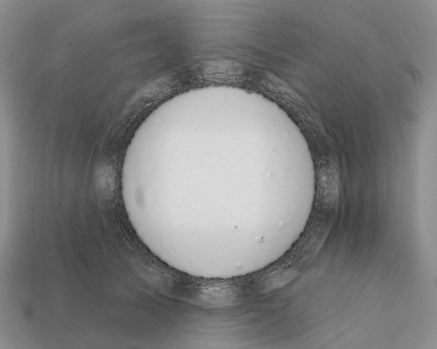X0000112430705200909251537