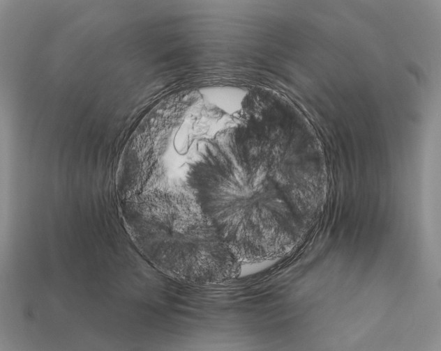X0000112430707200909251537