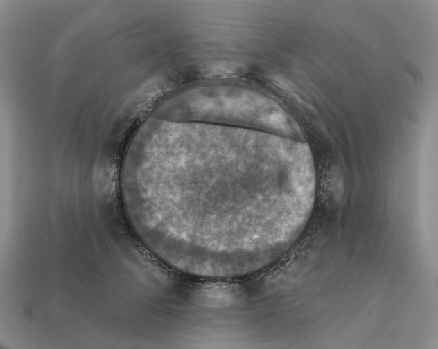 X0000112430708200909251537