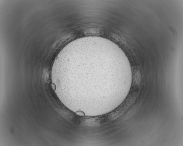 X0000112430709200909251537