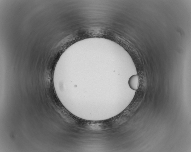 X0000112430710200909251537