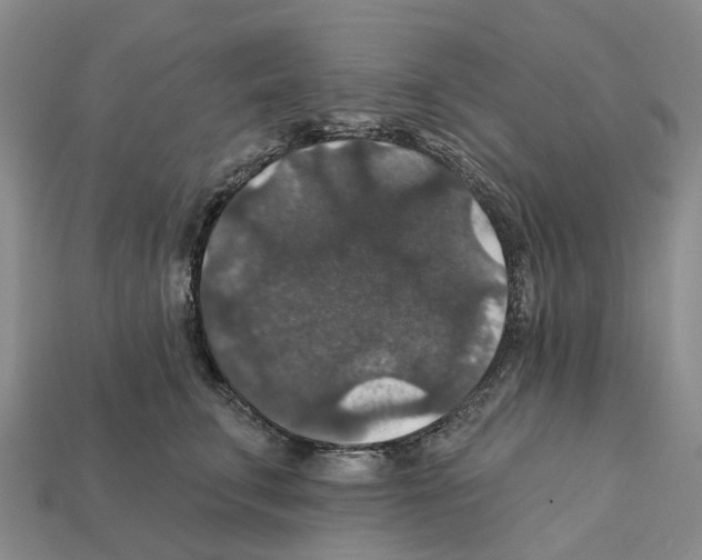 X0000112430711200909251537