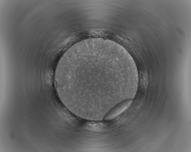 X0000112430712200909251537