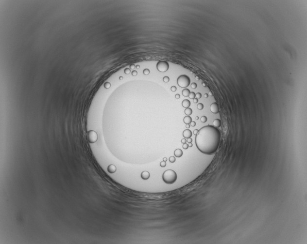X0000112430715200909251537