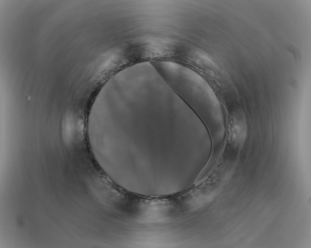 X0000112430716200909251537