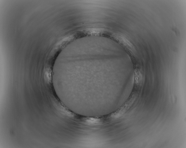 X0000112430718200909251537