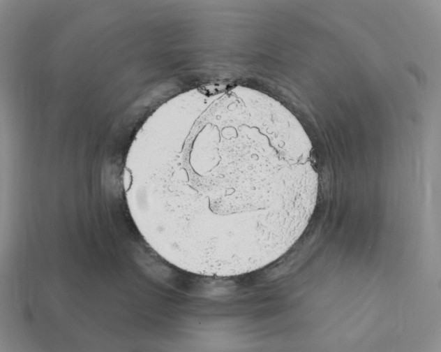 X0000112430719200909251537