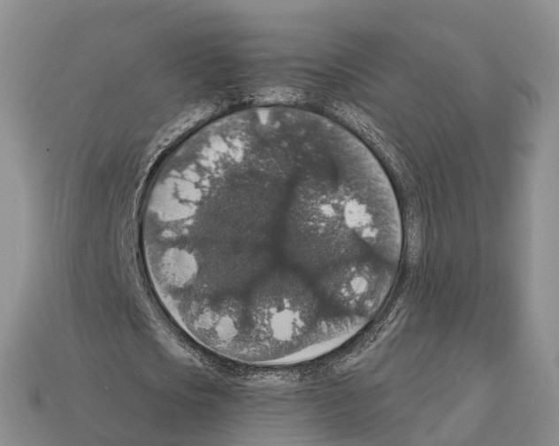 X0000112430721200909251536