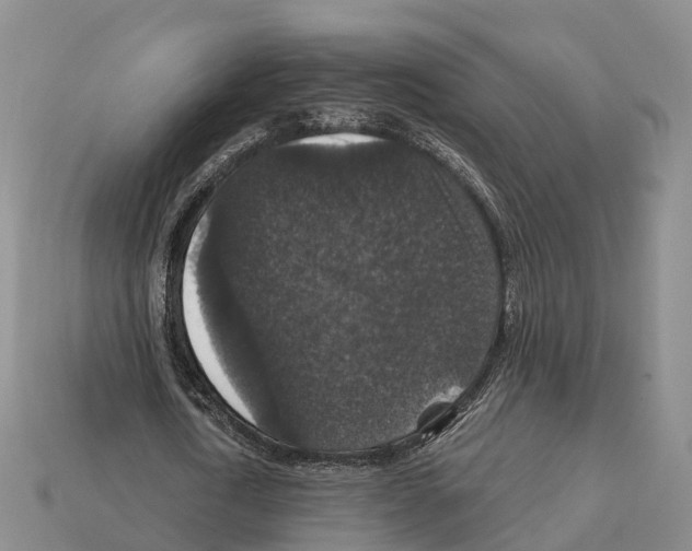 X0000112430722200909251536
