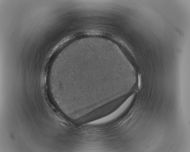 X0000112430723200909251536