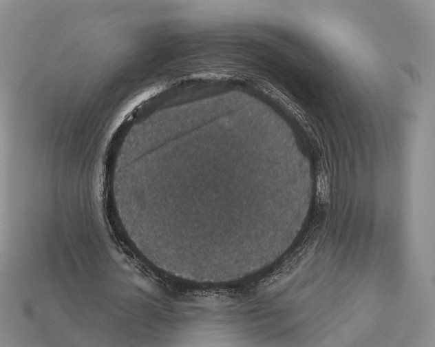 X0000112430724200909251536