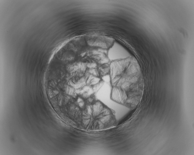 X0000112430725200909251536