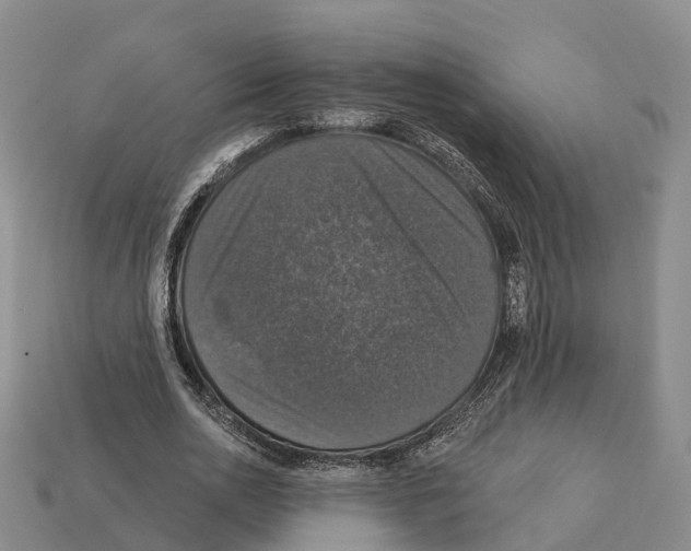 X0000112430726200909251536