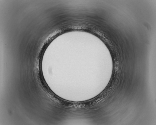 X0000112430727200909251536