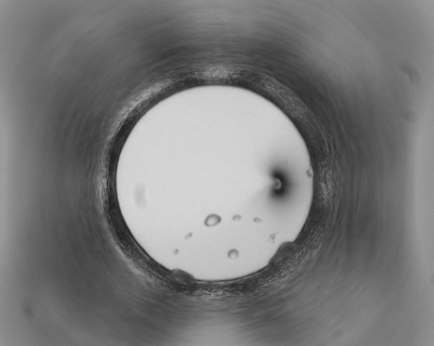 X0000112430728200909251536