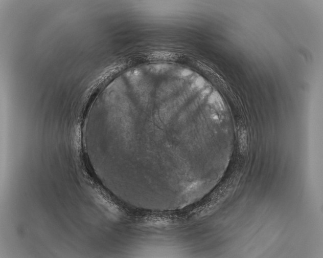 X0000112430729200909251536