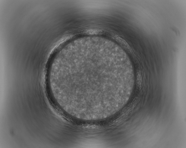 X0000112430730200909251536
