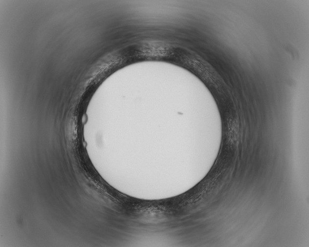 X0000112430731200909251536