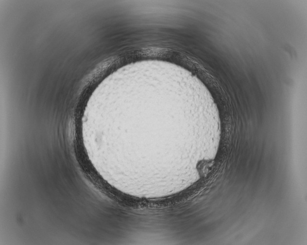 X0000112430734200909251536