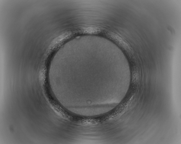X0000112430736200909251536