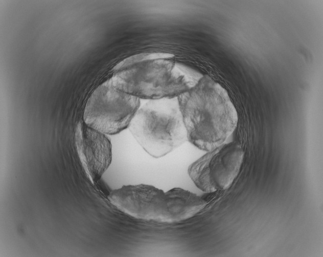 X0000112430737200909251536