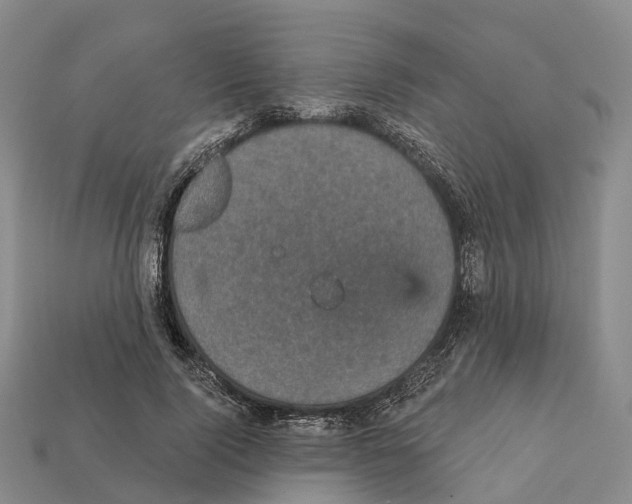 X0000112430740200909251536