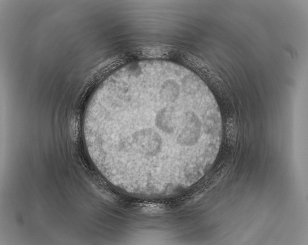 X0000112430741200909251536