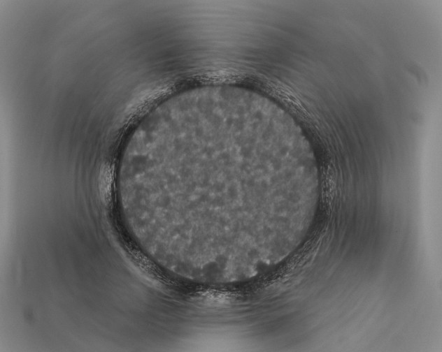 X0000112430742200909251536
