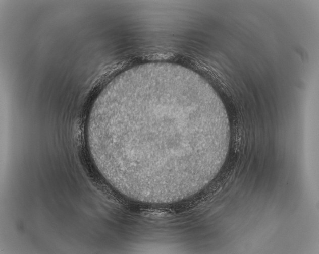 X0000112430743200909251536