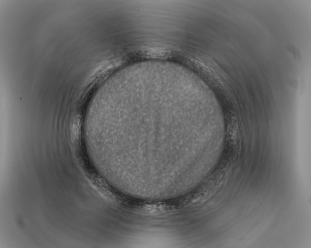 X0000112430744200909251536