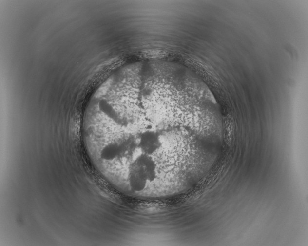 X0000112430745200909251536